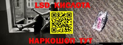 стаф Кингисепп