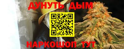 стаф Кингисепп