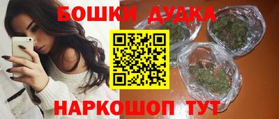 стаф Кингисепп
