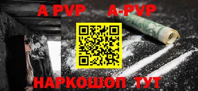 стаф Кингисепп